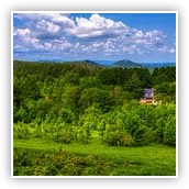 Stacks Image 109